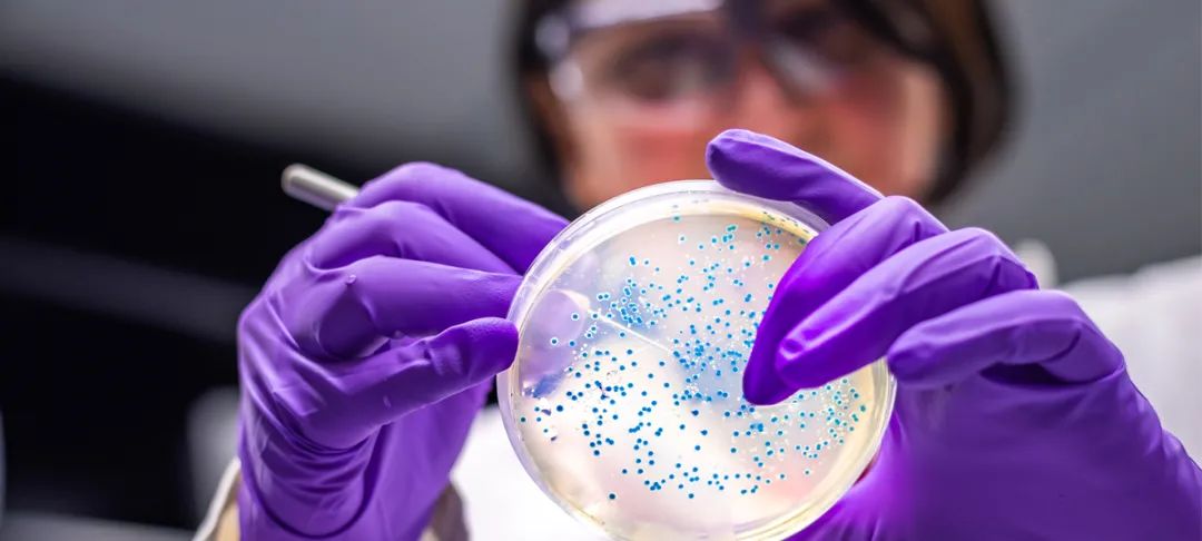 環(huán)境微生物研究熱度不減，全溫型厭氧工作站大顯身手