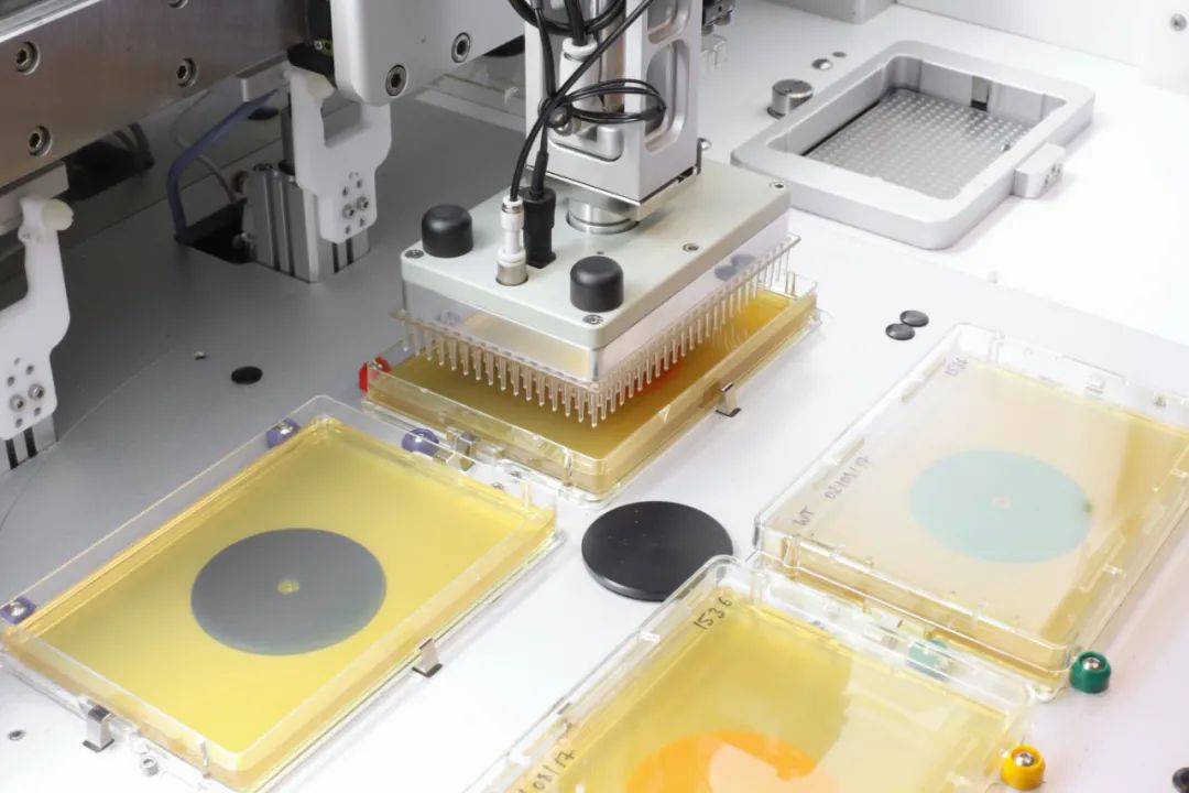 ROTOR+ PIXL強勢組合！重新定義高通量菌落篩選