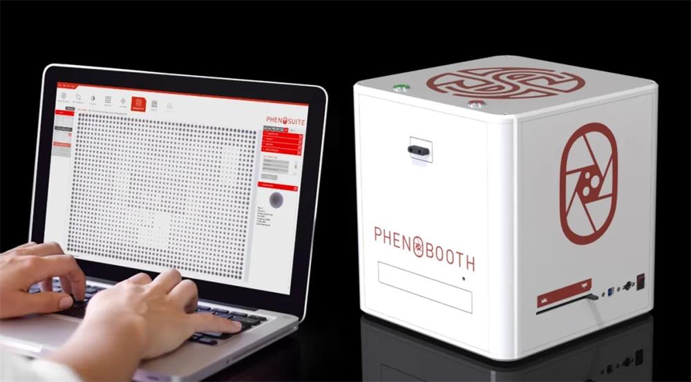 創(chuàng)意勞動，別樣精彩—致敬所有勞動者！