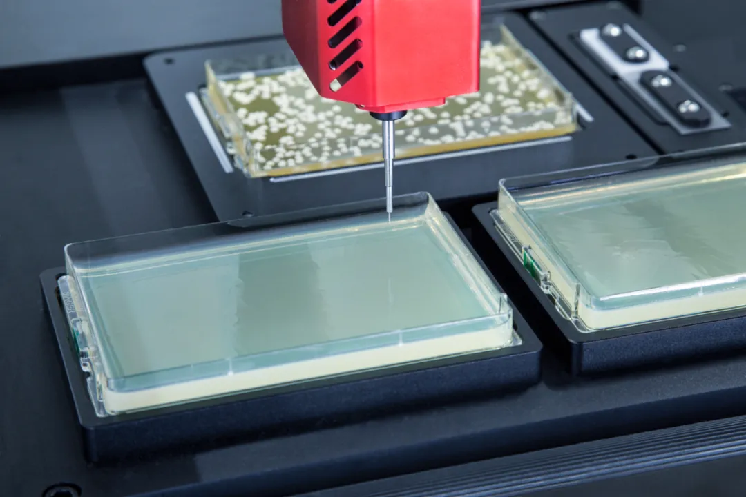 突破微觀界限，自動化技術引領微生物探索新紀元