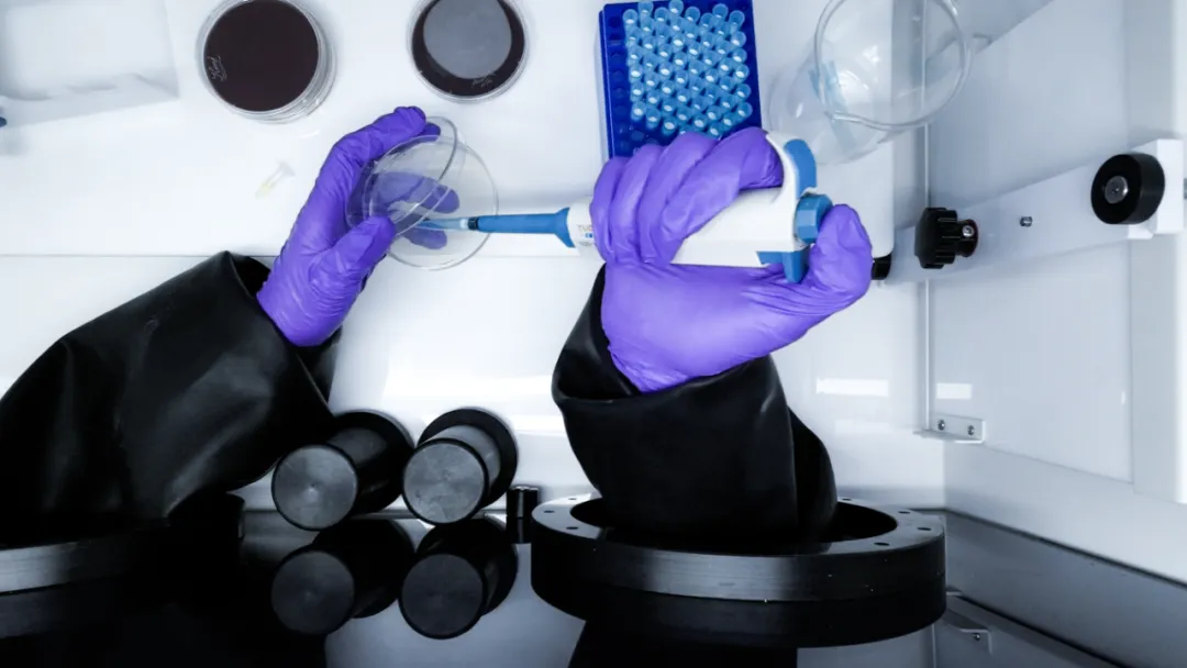 ELECTROTEK厭氧工作站助力發(fā)掘新型益生多糖：改善腸道健康的突破性進展