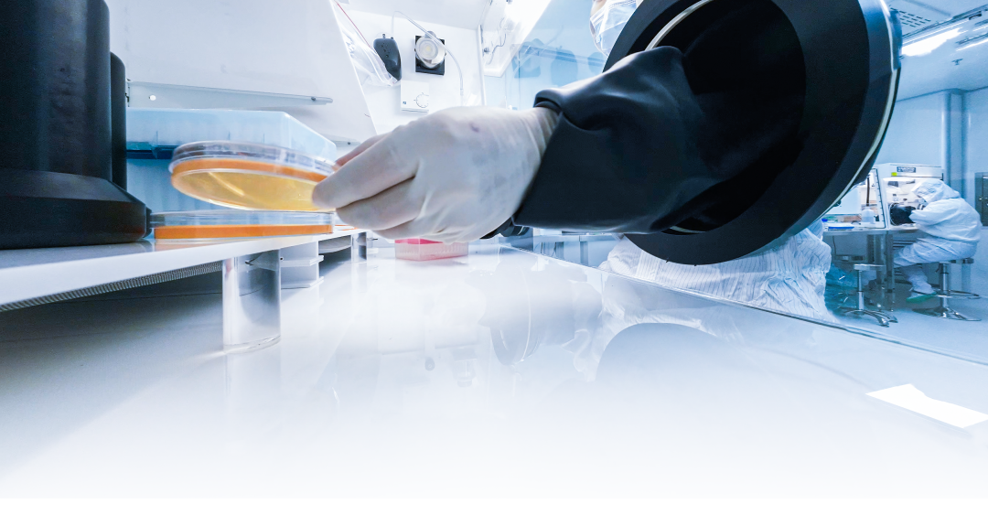 頂尖研究《Food Chemistry》揭示枸杞多糖發(fā)酵奧秘，Electrotek厭氧工作站全程護(hù)航