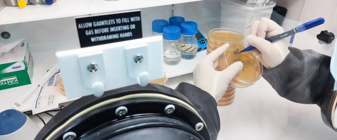 Electrotek助力中藥新發(fā)現(xiàn)！淫羊藿苷重塑菌群平衡，破解新生兒代謝難題